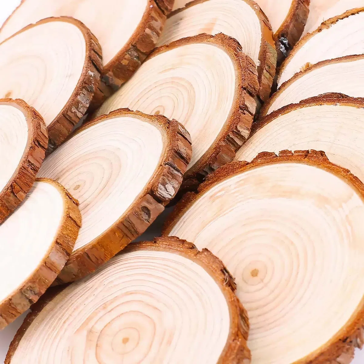 Rodajas de Madera 6 cm, 50 piezas (6-7 cm) Troncos Madera Decoracion