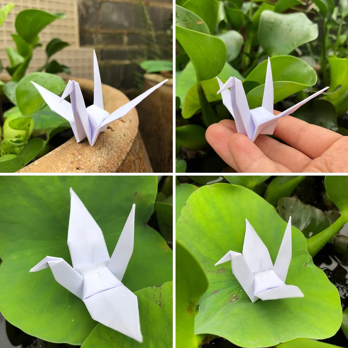 GrúAs De Papel Origami Grullas De Papel Para Origami 100 Piezas Plegadas De Origami 7cm Para La DecoracióN Del Hogar Del Fondo Del Banquete De Boda (Blanco A, 9cm)
