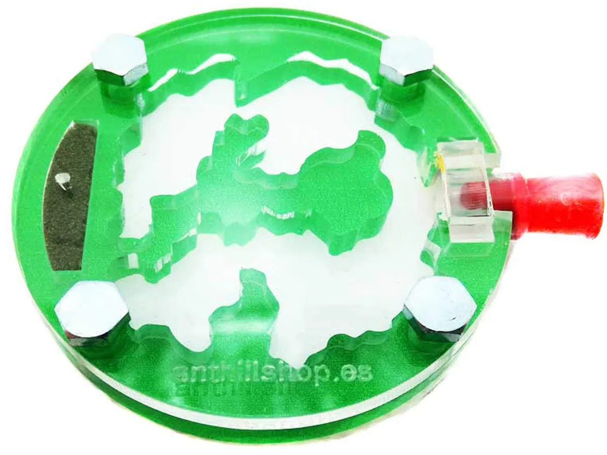 Hormiguero 6 x 6 Circular Espuma acrílico Verde (con Hormigas Gratis).