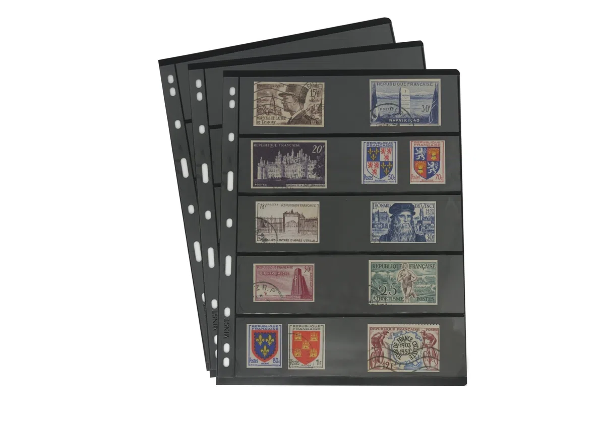 10 hojas internas estándar a 9 foros, doble cara, para álbumes, estampillas, billetes, colecciones, páginas internas para álbumes de monedas y suministros (Negro, 5 Bolsillos)