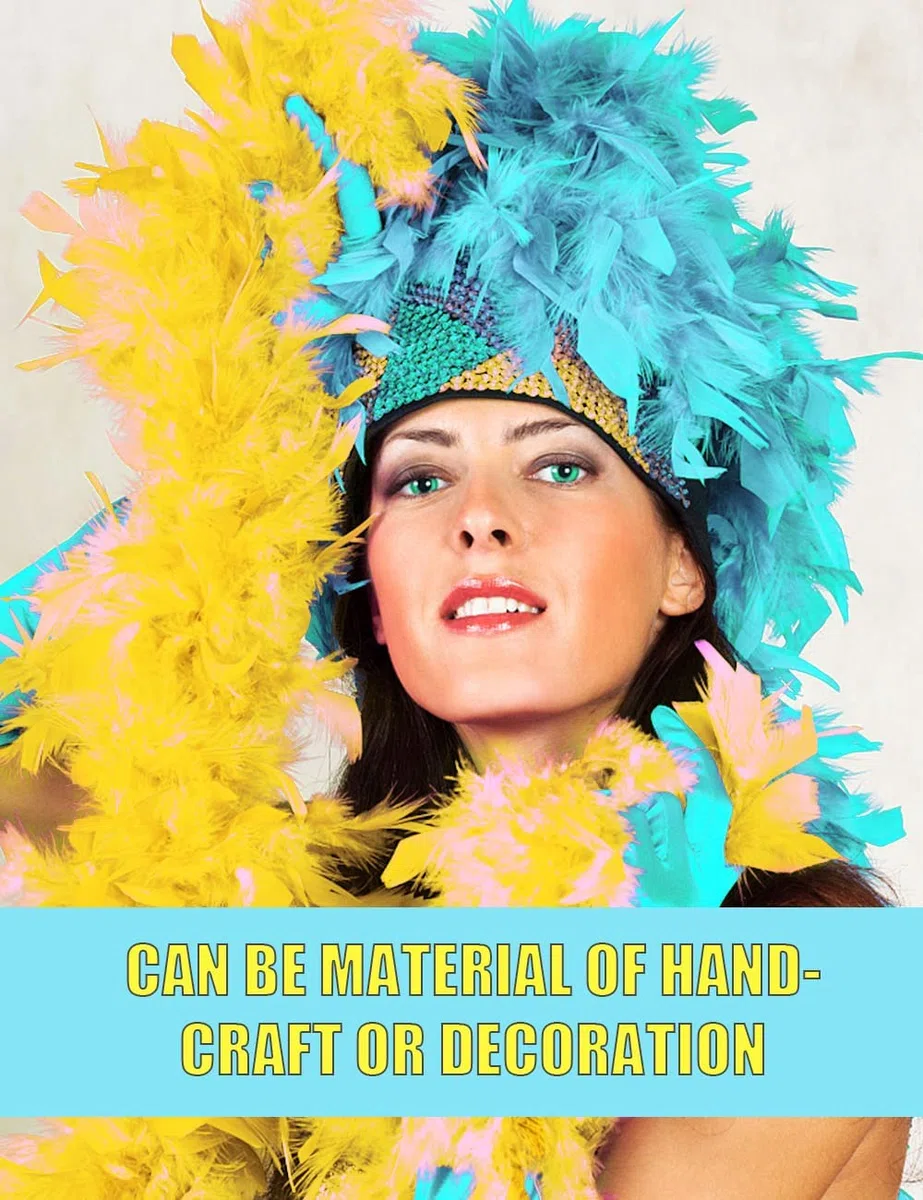 DAJOOEE La Pluma Colorida Válvula Boas Para la Fiesta 6 Pcs 6.6ft, Con Gafas de Sol Sin Marco Una Despedida de Vida de Chica, L